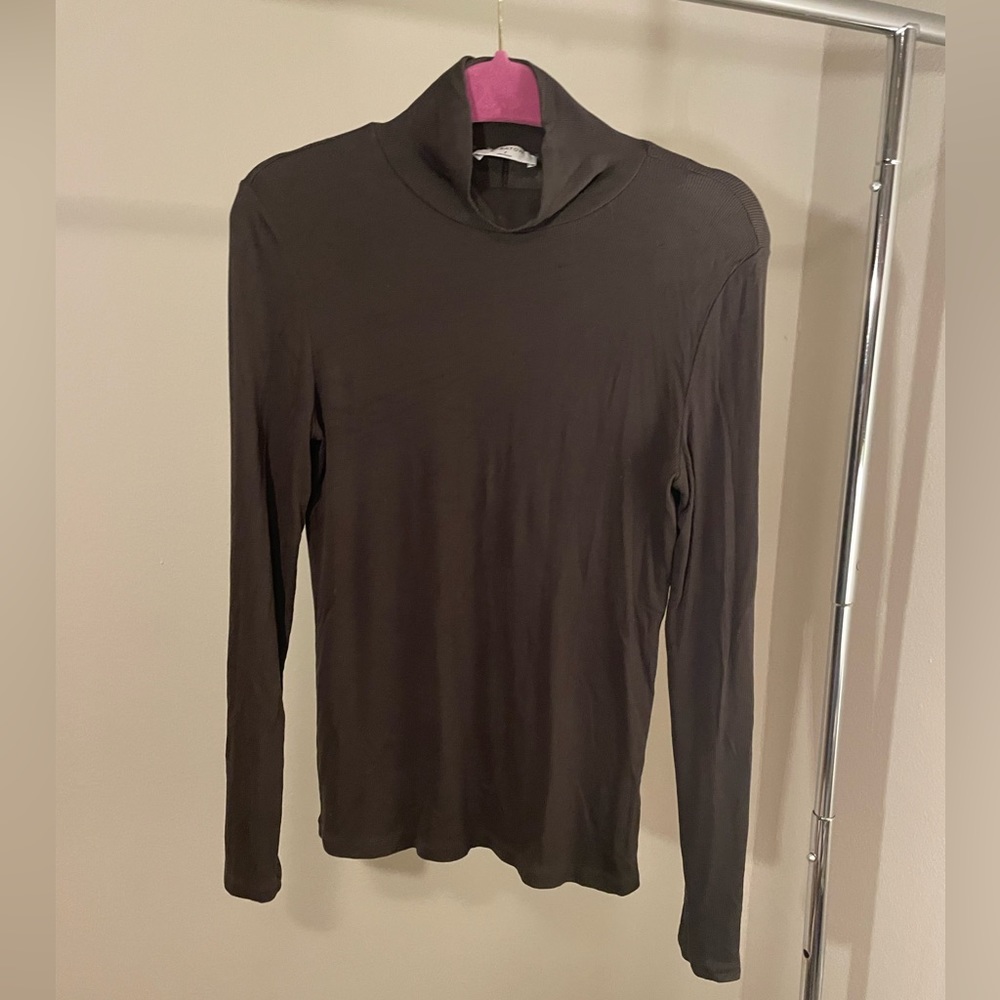 Aritzia Fitted Ribbed Turtleneck